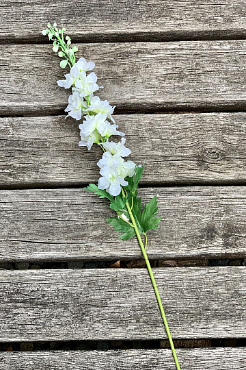 Delphinium white 79 cm