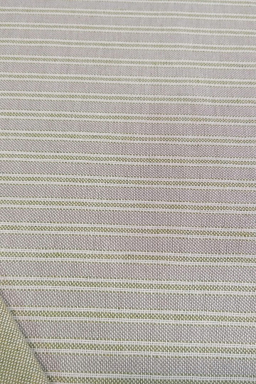 Decorative fabric Iris stripes - green 66