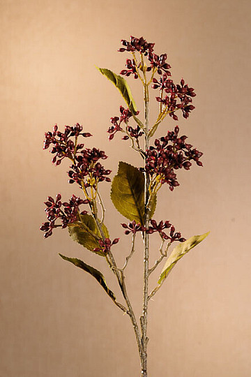 DRY VIBURNUM TINUS 58 cm burgundy