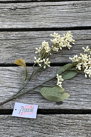DRY VIBURNUM TINUS 58 cm white