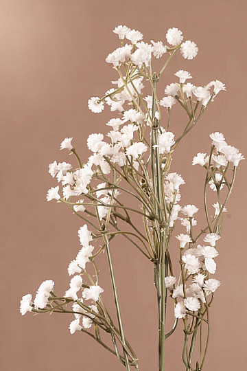 GYPSOFILA white