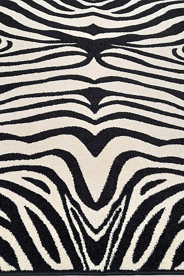 Black and White carpet