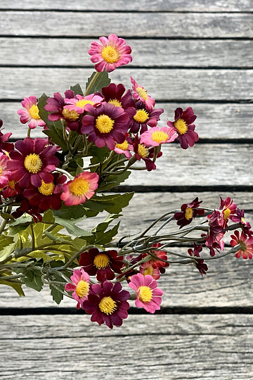 MINI DAISY RED