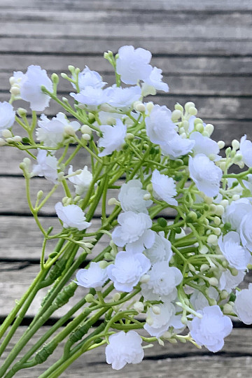 GYPSUM SPRAY WHITE