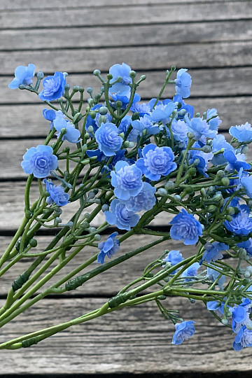 GYPSUM SPRAY BLUE