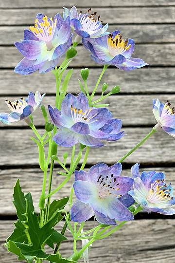 BLUE WILD FLOWER