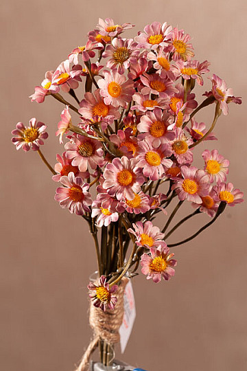 PINK CHAMOMILE