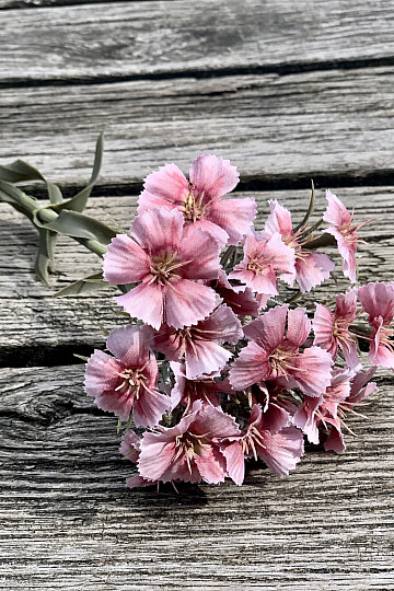 PINK CARNATION