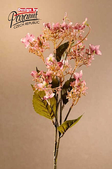 WILD HYDRANGEA PINK