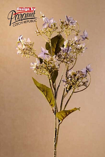 WILD HYDRANGEA BLUE