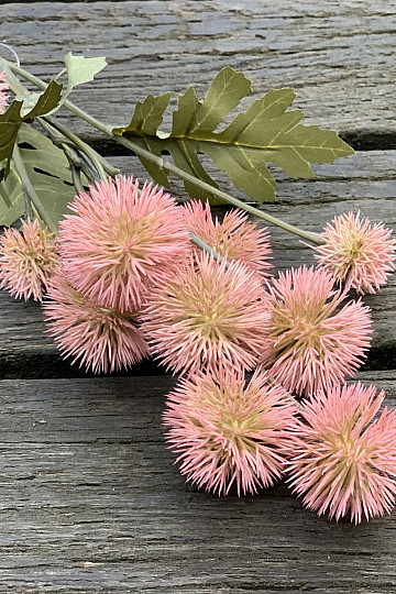 DRY PLASTIC POMPOM PINK
