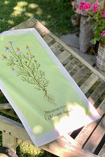 Cotton towels CAMOMILE