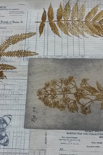 Decorative fabric HERBARIUM brown
