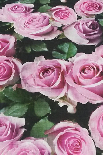 Decorative fabric Rose digital print 3D