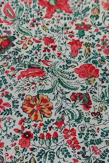 Cotton fabric MINI INDIENNE 2