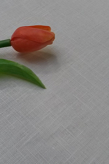 Linen fabric white