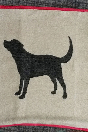 pillowcase DF  for dogs LABRADOR  beige