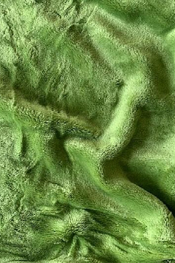 Micro flannel sheet SLEEP WELL green - kiwi