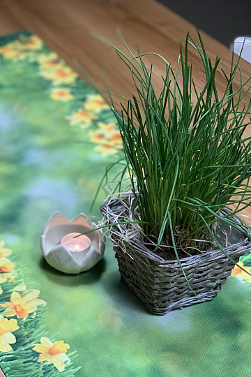 tablecloths and scarves NARCISY