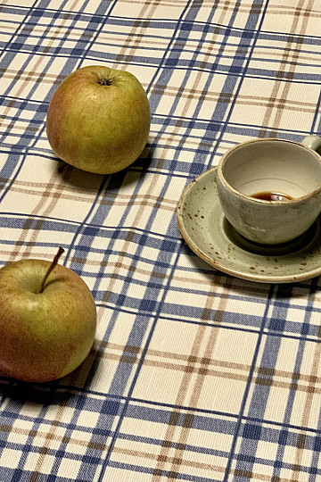 LAURA tablecloth - blue check
