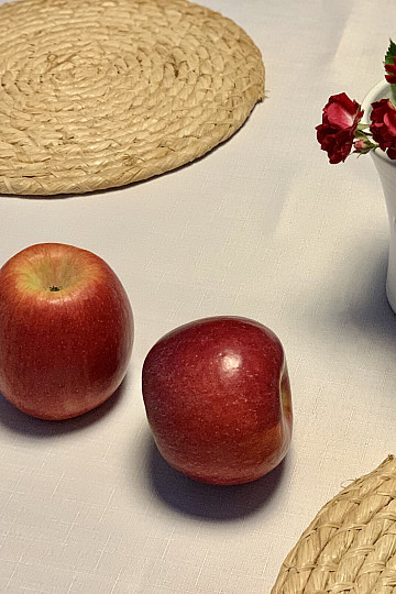 TEFLON tablecloth ELBA white