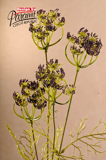 Purple dill 80 cm