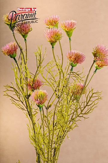 Cornflower pink 56 cm