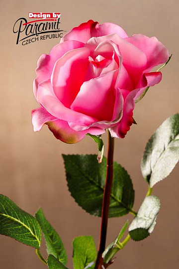 Light pink rose 67 cm