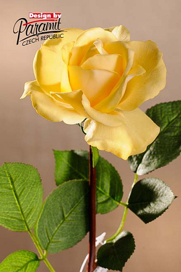 Yellow rose 67 cm