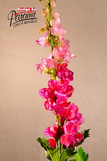 Delphinium burgundy 79 cm