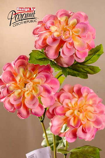 Dahlia pink-yellow 56 cm