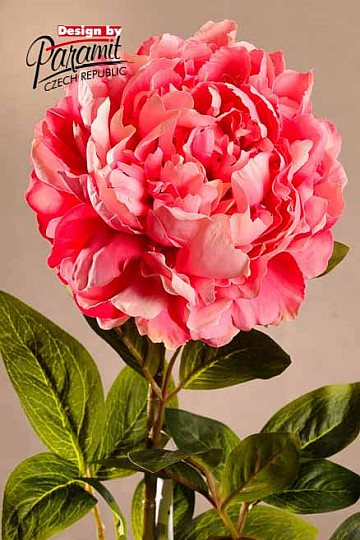 Pink peony 72 cm