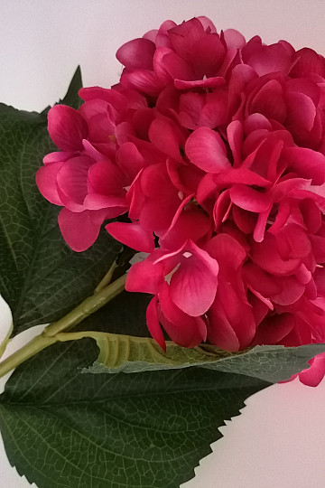 HORTENSION - artificial flower dark pink