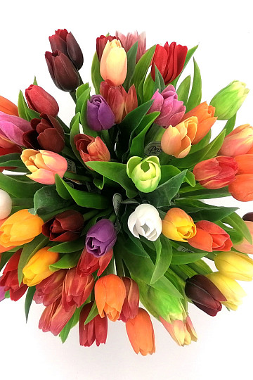 Tulips mix colors