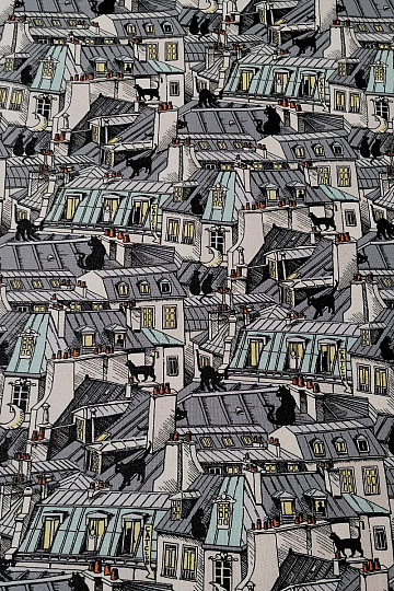 Rubberized cotton - TOWN