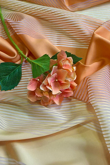 Curtain voile SHIRAZ stripes