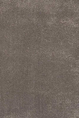 Carpet TOSCANA 01 brown