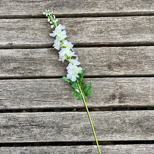 Delphinium white 79 cm