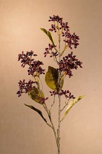DRY VIBURNUM TINUS 58 cm burgundy