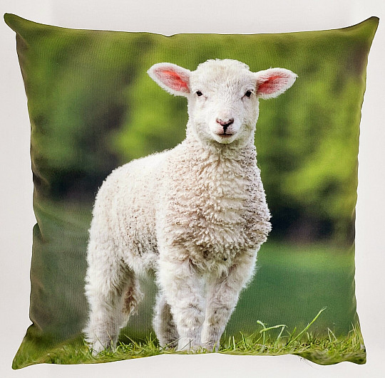 Decorative pillowcase SHEEP