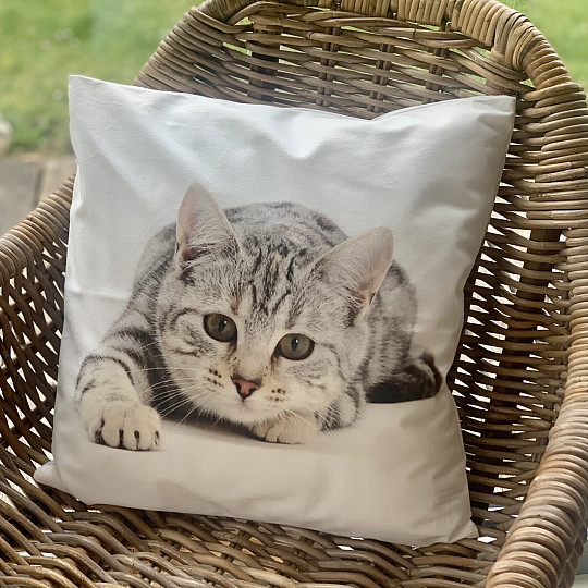 Decorative cushion cover LYING CAT