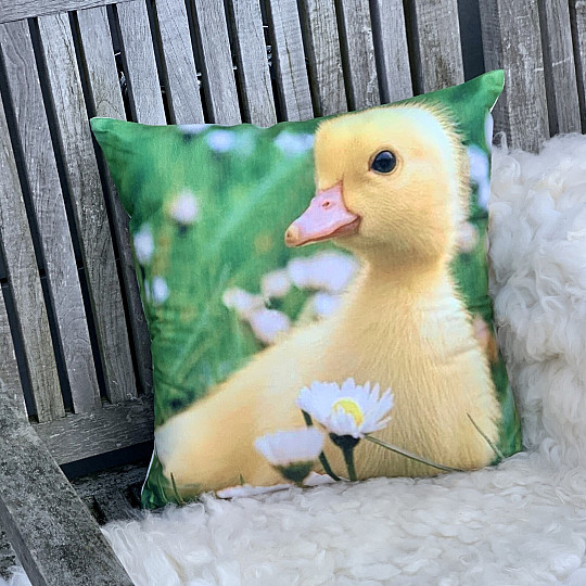 Decorative pillow cover GOSLING