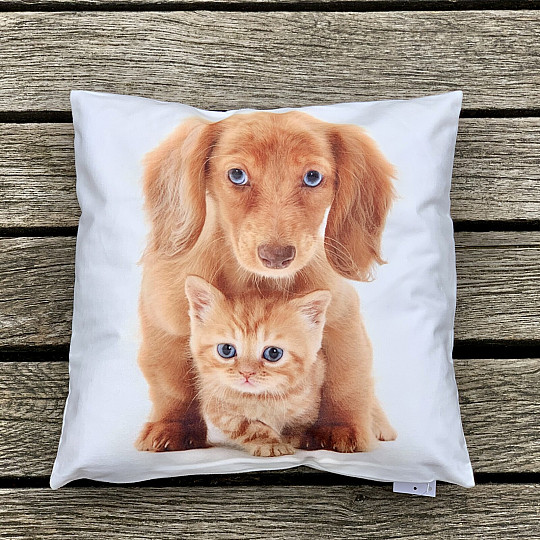 Pillowcase DOG AND CAT