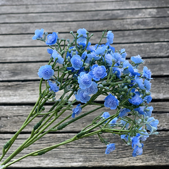 GYPSUM SPRAY BLUE
