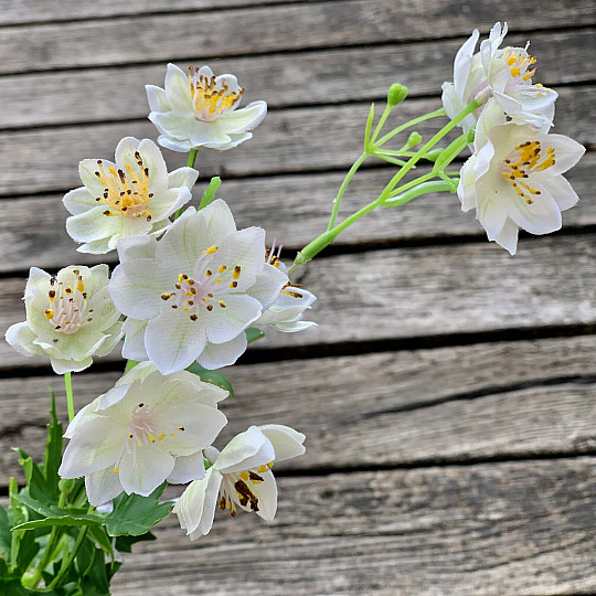 WHITE WILD FLOWER
