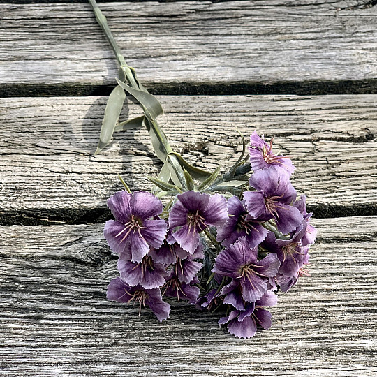 PURPLE CARNATION