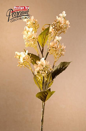 WILD HYDRANGEA CREAM