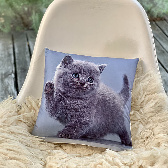 Decorative cover KITTY