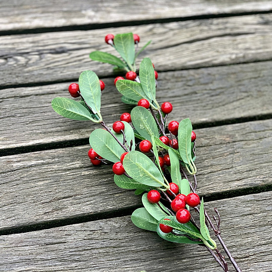 BARRY STEM RED