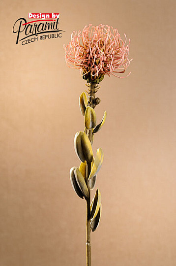 DRY SMALL PROTEA PINK